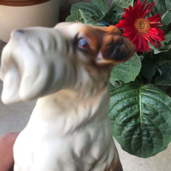 Vintage wire haired fox terrier - Picture 5 of 16